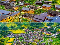 -紫鹊界梯田景区