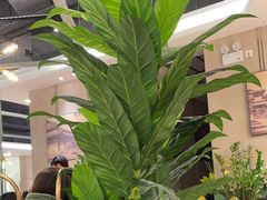 -清晖小苑•顺德地方菜(壹海城店)