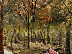 -叠溪松坪沟景区