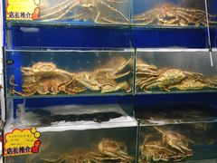 -蚝专家(北滘店)