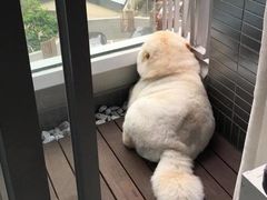 -面包与我Bread Or Me(长城汇店)