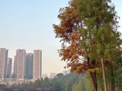 -重庆彩云湖湿地公园