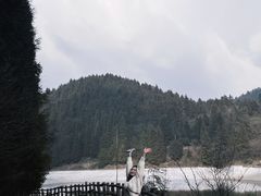 -武陵山森林公园