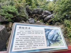 -广州白江湖森林公园