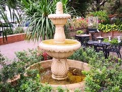 -more than meow吴止猫主题餐厅(承德 中船汇店)