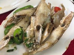 -蛇口康乐快餐鱼仔档(翠苑小区店)