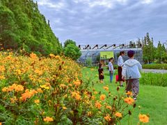 -前小桔亲子创意农场·草莓采摘·露营烧烤