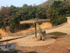 -泉州海丝野生动物世界