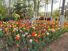 -徐州博顿温德姆酒店(高铁东站店)