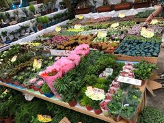 -秦美花卉(天朗·莱茵小城2期店)