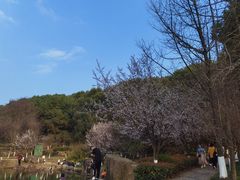 -白马涧龙池景区