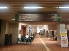 -香港大学