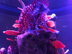 -沈阳海洋探索中心