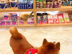 -美联众合动物医院·24h转诊中心