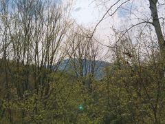 -帽儿山风景区