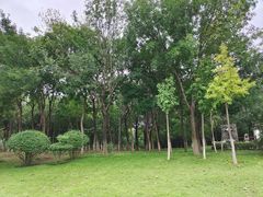 -济南国际园博园