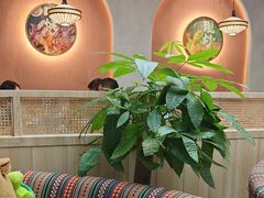 -云海肴·汽锅鸡·云南菜(广安门天虹店)