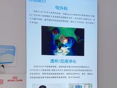 -北京观赏动物医院·24小时大型综合·猫专科·异宠专科