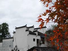 景点-塔川景区