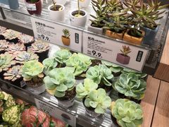 -鹿岛会员店(熙地港店)