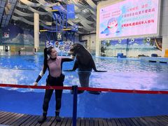 -合肥海洋世界