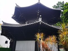 -荔湾湖公园