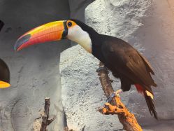 -Zoolung Zoolung动物主题公园(海信广场店)