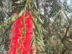 -北京植物园-展览温室