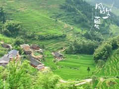 -紫鹊界梯田景区