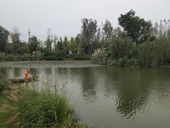 -白鹭湾湿地公园