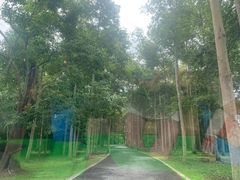 -中国科学院西双版纳热带植物园
