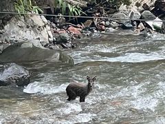 -西岭雪山大飞水景区