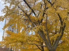 -苏州河梦清园环保主题公园