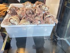 -洪记白水羊头(天坛店)