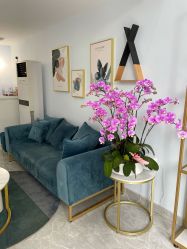 -壹舍美肤SPA中心