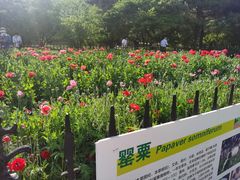 -国家植物园南园