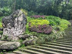 -青城山