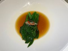 玉琅玕-觀芷隐轩