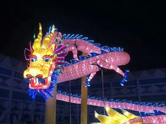 -锦江乐园舞狸花花游园会(夜场专享)