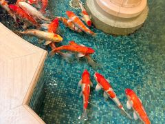 -北京新世纪饭店(动物园地铁站店)