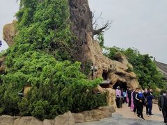 -大槐树寻根祭祖园