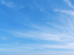 -瑰丽酒店·海吧·天际下午茶·现场DJ·天台酒吧