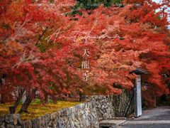 -天龙寺