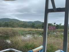 -亚龙湾国际玫瑰谷