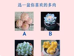 -惟初心理咨询工作室(静安分店)