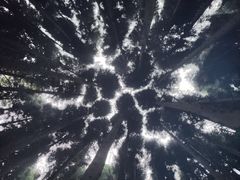 -山王坪喀斯特国家生态公园