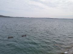 -南京金牛湖风景区