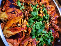 -黄记煌三汁焖锅(顺义华联店)