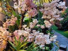 -王捌小院(红花坡店)