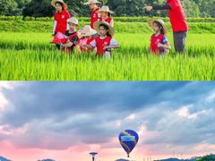 -广州市石门国家森林公园
